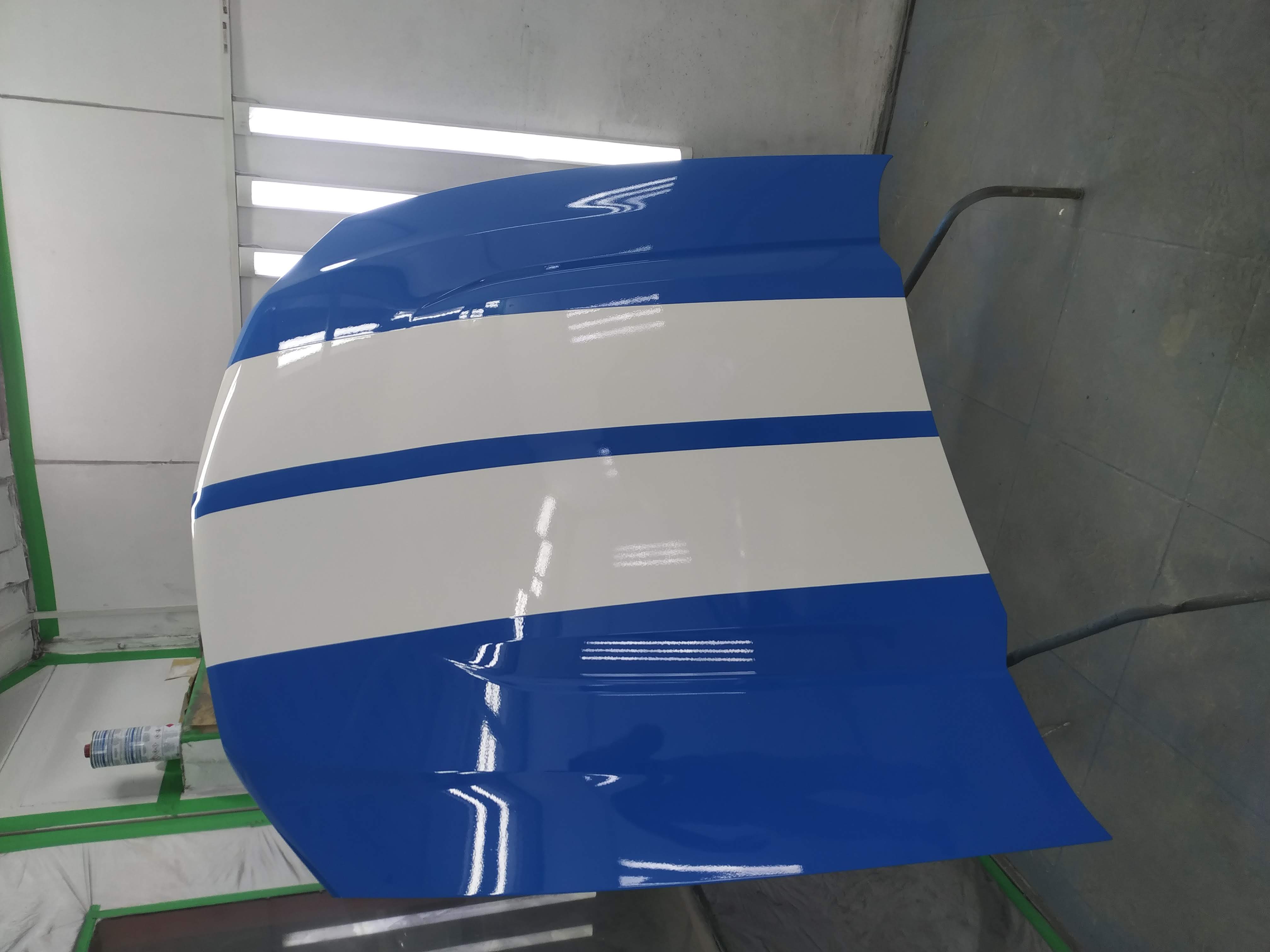 Bonnet after painting